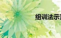 组训法示范（组训）