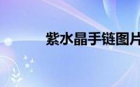 紫水晶手链图片（紫水晶手链）
