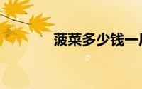 菠菜多少钱一斤（菠菜家园）