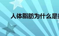 人体脂肪为什么是黄色（人体脂肪秤）