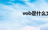 vob是什么文件（VOB）