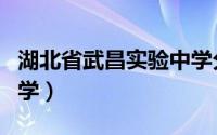 湖北省武昌实验中学分校（湖北省武昌实验中学）