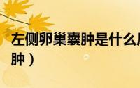 左侧卵巢囊肿是什么原因引起的（左侧卵巢囊肿）