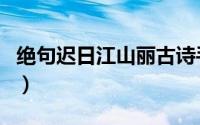 绝句迟日江山丽古诗手抄报（绝句迟日江山丽）