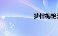 梦伴梅艳芳（梦伴）