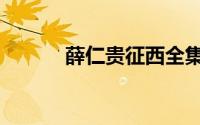 薛仁贵征西全集（薛仁贵征西）