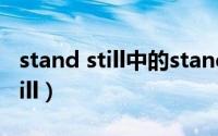 stand still中的stand是什么动词（Stand Still）