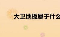 大卫地板属于什么档次（大卫地板）