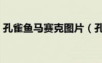 孔雀鱼马赛克图片（孔雀鱼马赛克有限公司）