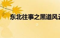 东北往事之黑道风云20年（东北义丐）