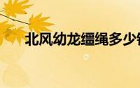 北风幼龙缰绳多少钱（北风幼龙缰绳）