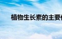 植物生长素的主要作用（植物生长素）