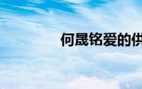 何晟铭爱的供养（何晟铭）