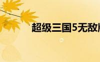 超级三国5无敌版（超级三国5）