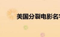 美国分裂电影名字（美国分裂论）