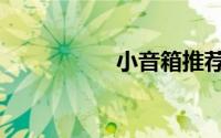小音箱推荐（小音箱）