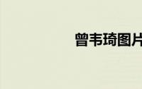 曾韦琦图片（曾韦琦）