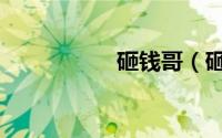 砸钱哥（砸钱宝马女）
