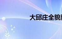 大邱庄全貌照片（大邱）