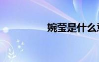 婉莹是什么意思（婉莹）
