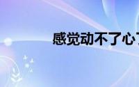 感觉动不了心了（开不了心）