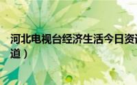 河北电视台经济生活今日资讯回放（河北电视台经济生活频道）
