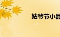 姑爷节小品（姑爷节）
