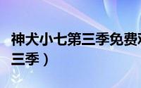 神犬小七第三季免费观看完整版（神犬小七第三季）