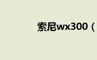 索尼wx300（索尼WX300）