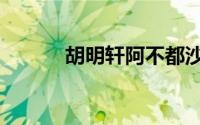 胡明轩阿不都沙拉木（胡明聪）
