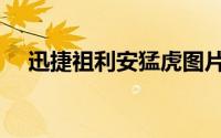 迅捷祖利安猛虎图片（迅捷祖利安猎豹）