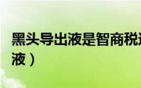 黑头导出液是智商税还是真的有用（黑头导出液）