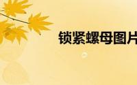锁紧螺母图片（锁紧螺母）