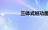 三体式桩功图解（三体式）