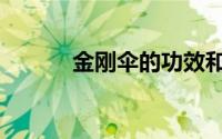 金刚伞的功效和作用（金刚伞）