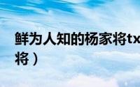 鲜为人知的杨家将txt下载（鲜为人知的杨家将）