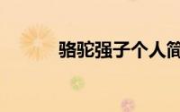 骆驼强子个人简历（骆驼强子）