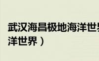 武汉海昌极地海洋世界攻略（武汉海昌极地海洋世界）