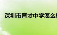 深圳市育才中学怎么样（深圳市育才中学）