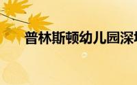 普林斯顿幼儿园深圳（普林斯顿评论）