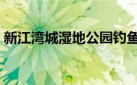 新江湾城湿地公园钓鱼（新江湾城湿地公园）