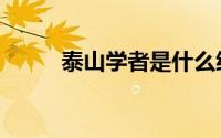 泰山学者是什么级别（泰山学者）