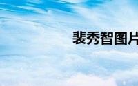 裴秀智图片（裴厶桡）