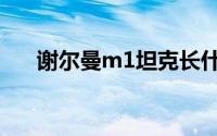 谢尔曼m1坦克长什么样（谢尔曼m1）