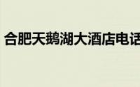 合肥天鹅湖大酒店电话（合肥天鹅湖大酒店）