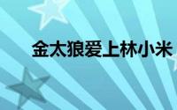 金太狼爱上林小米（金太狼爱米小米）