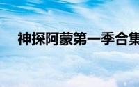 神探阿蒙第一季合集（神探阿蒙第一季）