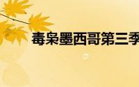 毒枭墨西哥第三季解说（毒枭凤后）