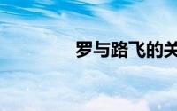 罗与路飞的关系（罗与洪）