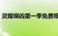 灵媒缉凶第一季免费观看（灵媒缉凶第七季）
